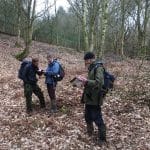 Archeological survey