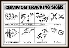 Common Tracking Signs - Scouts