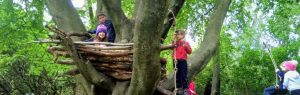 Children at forest school sitting in a treehouse